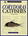 Corydoras Catfishes
