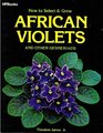 How to Select and Grow African Violets and Other Gesneriads