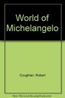 World of Michelangelo