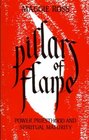 Pillars of Flame Power Priesthood and Spirituality