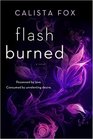 Flash Burned A Novel