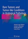 Rare Tumors and Tumorlike Conditions in Urological Pathology