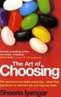 The Art Of Choosing: The Decisions We Make Everyday of our Lives, What They Say About Us and How We Can Improve Them