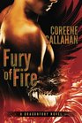 Fury of Fire (Dragonfury, Bk 1)