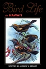 Bird Life in Hawaii