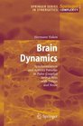 Brain Dynamics Synchronization and Activity Patterns in PulseCoupled Neural Nets with Delays and Noise