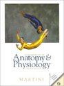 Fundamentals of Anatomy and Physiology  Applications Manual  Interactive Media Edition Package