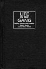 Life in the Gang  Family Friends and Violence