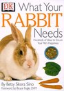 What Your Rabbit Needs