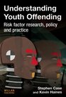 Understanding Youth Offending Risk factor research policy and practice