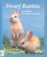 Dwarf Rabbits How to Take Care of Them and Understand Them