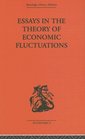 Essays in the Theory of Economic Fluctuations