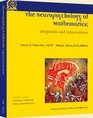 The Neuropsychology of Mathematics  Diagnosis and Intervention