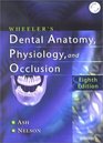 Wheeler's Dental Anatomy Physiology and Occlusion