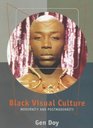 Black Visual Culture  Modernity and PostModernity