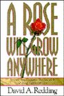 A Rose Will Grow Anywhere Renewing Your Confidence That God Works All Things Together for Good