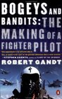 Bogeys and Bandits  The Making of a Fighter Pilot
