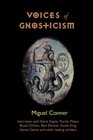 Voices of Gnosticism Interviews with Elaine Pagels Marvin Meyer Bart Ehrman Bruce Chilton and Other Leading Scholars