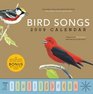 Bird Songs 2009 Wall Calendar