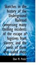 Sketches in the history of the Underground Railroad comprising many thrilling incidents of the escap
