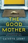 The Good Mother A domestic thriller with a shocking twist