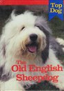 The Old English Sheepdog