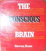 Conscious Brain