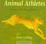 Animal Athletes Olympians of the Wild World