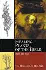 Healing Plants of the Bible: Their Uses Then and Now