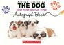 Artist Collection THE DOG Best Friends FurEver Autograph Book