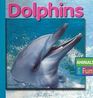 Dolphins (Animals Are Fun)