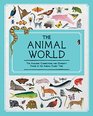 The Animal World The Amazing Connections and Diversity Found in the Animal Family Tree