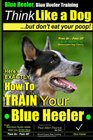 Blue Heeler Blue Heeler Training Think Like a Dog But Don't Eat Your Poop 'Paws on Paws Off' Blue Heeler Breed Expert Dog Training Here's EXACTLY How to TRAIN Your Blue Heeler