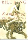 Kamikaze the Wind of God