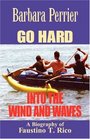 Go Hard Into the Wind and Waves