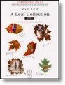 A Leaf Collection