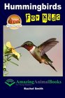 Hummingbirds For Kids