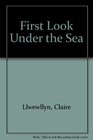 First Look Under the Sea