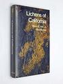 Lichens of California