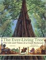 The EverLiving Tree The Life and Times of a Coast Redwood