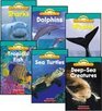 Ocean Animals Science Vocabulary Readers 6Book Set DeepSea Creatures Dolphins Sea Turtles Sharks Tropical Fish and Whales