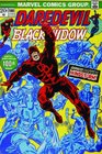 Essential Daredevil Volume 4 TPB (Daredevil)