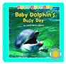 Baby Dolphin's Busy Day Smithsonian Baby Animals