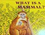 What is a mammal