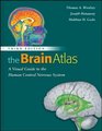 The Brain Atlas A Visual Guide to the Human Central Nervous System