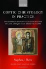 Coptic Christology in Practice Incarnation and Divine Participation in Late Antique and Medieval Egypt