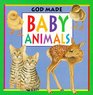 God Made Baby Animals
