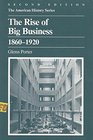 The Rise of Big Business 18601920