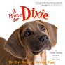 A Home for Dixie: The True Story of a Rescued Puppy