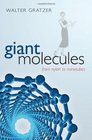 Giant Molecules From Nylon to Nanotubes